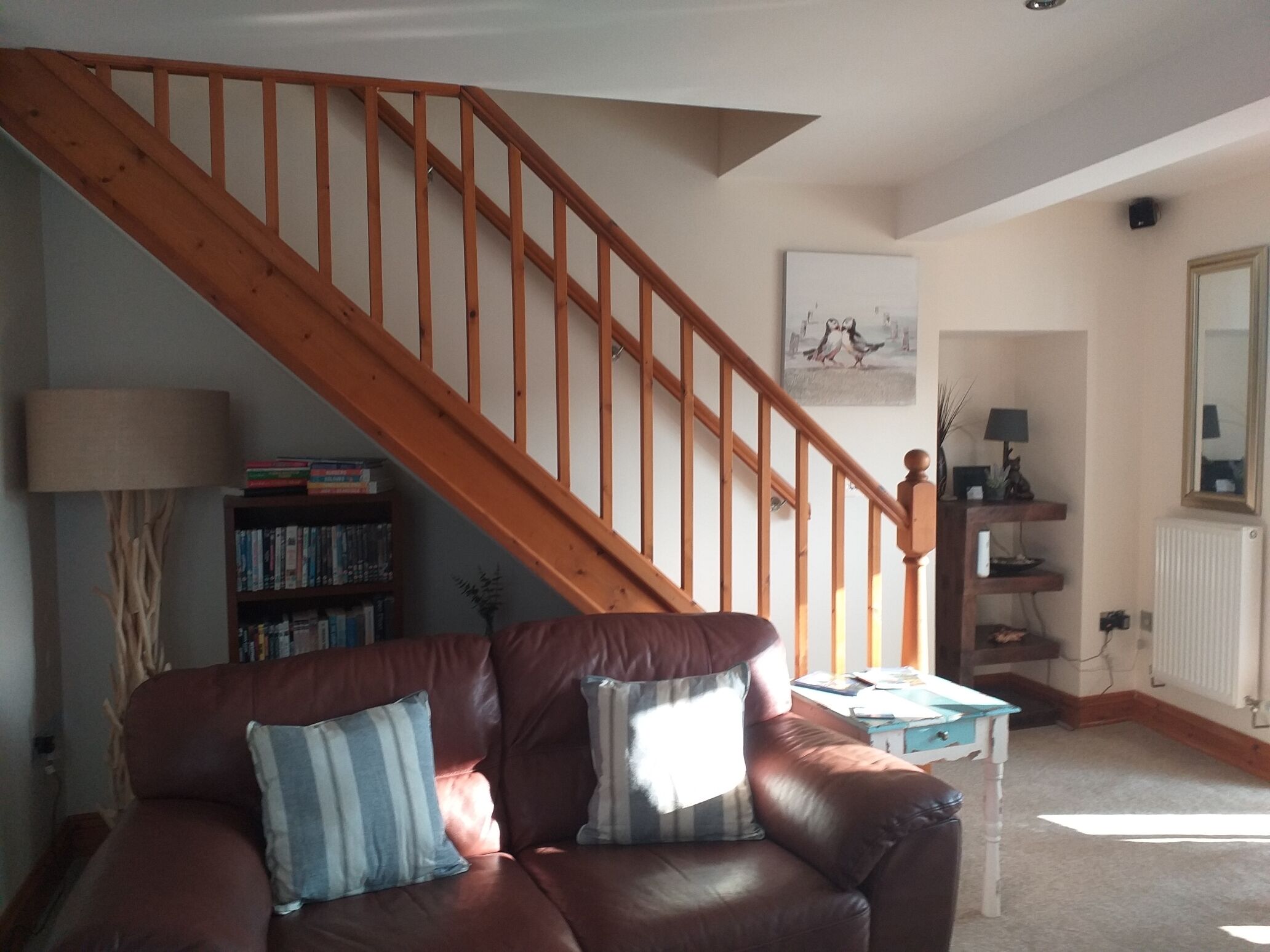 TV, fireplace, DVD player, books