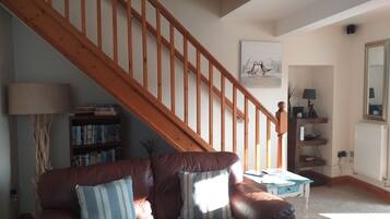 Télévision, cheminée, lecteur de DVD, livres