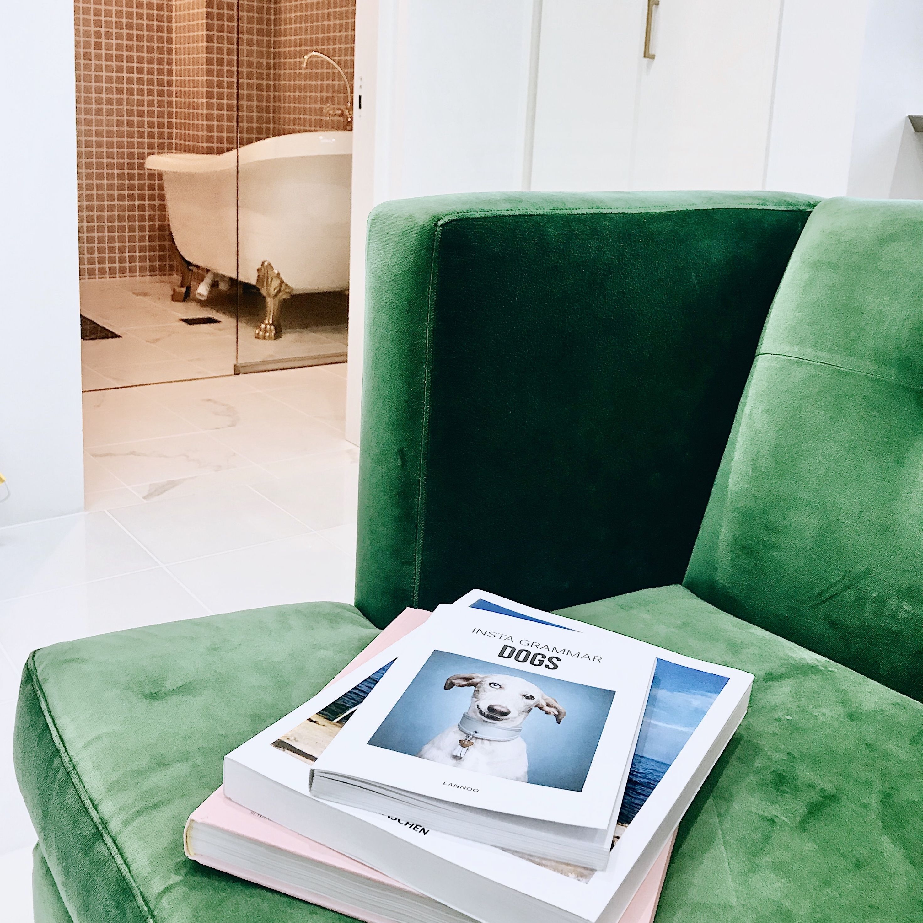 junior suite room 301 | living area | flat-screen tv, ipad, netflix