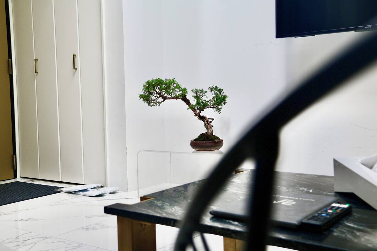 Une pièce avec une porte blanche, un petit arbre bonsai en pot, une télécommande et un téléviseur posé sur un meuble.