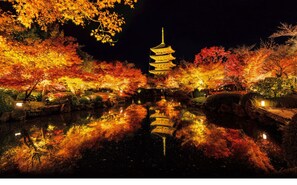 A traditional pagoda illuminated at night with autumn foliage reflected in a pond. - The Root2 Hotel (Kyoto)