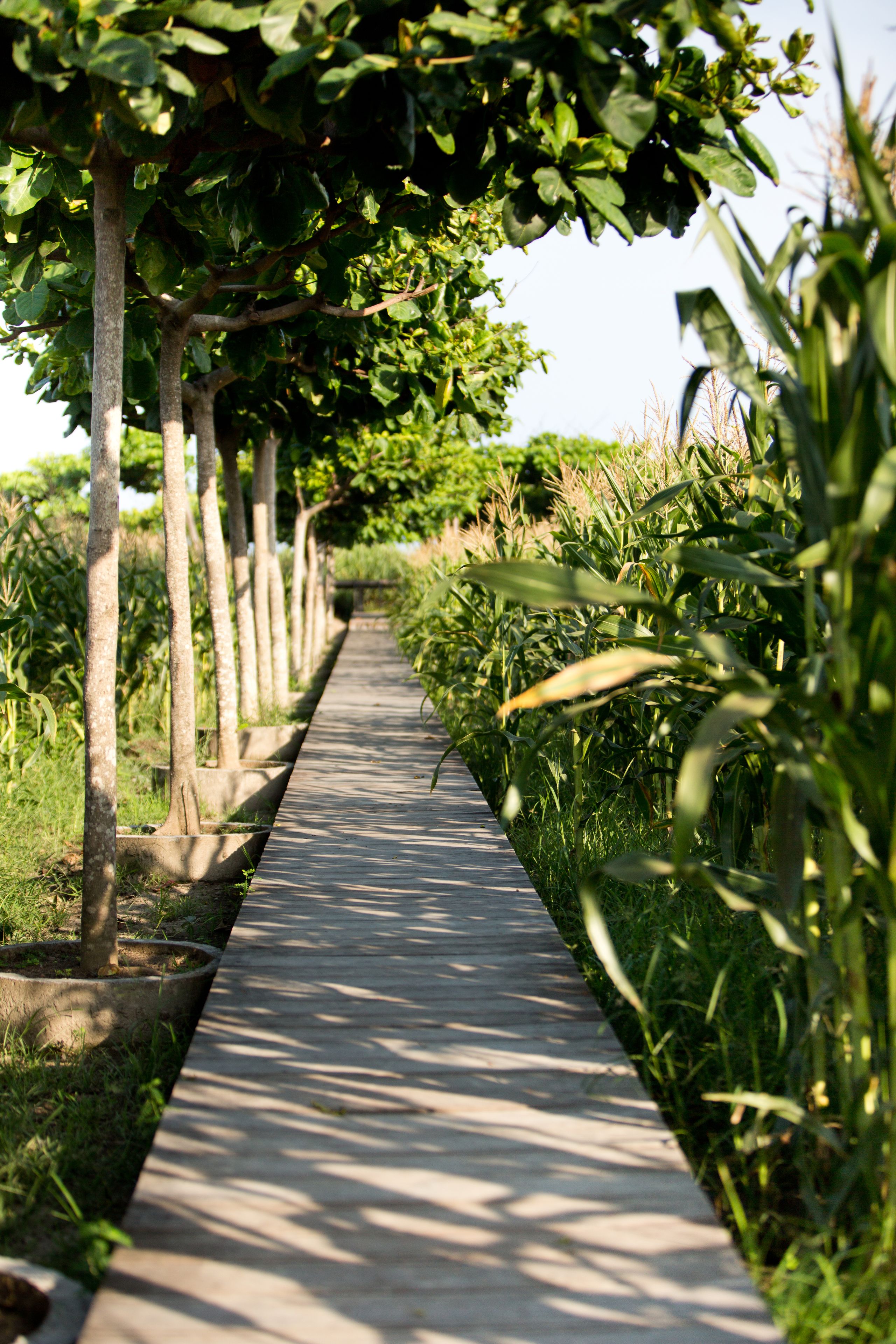 Foto - Sanur Residence
