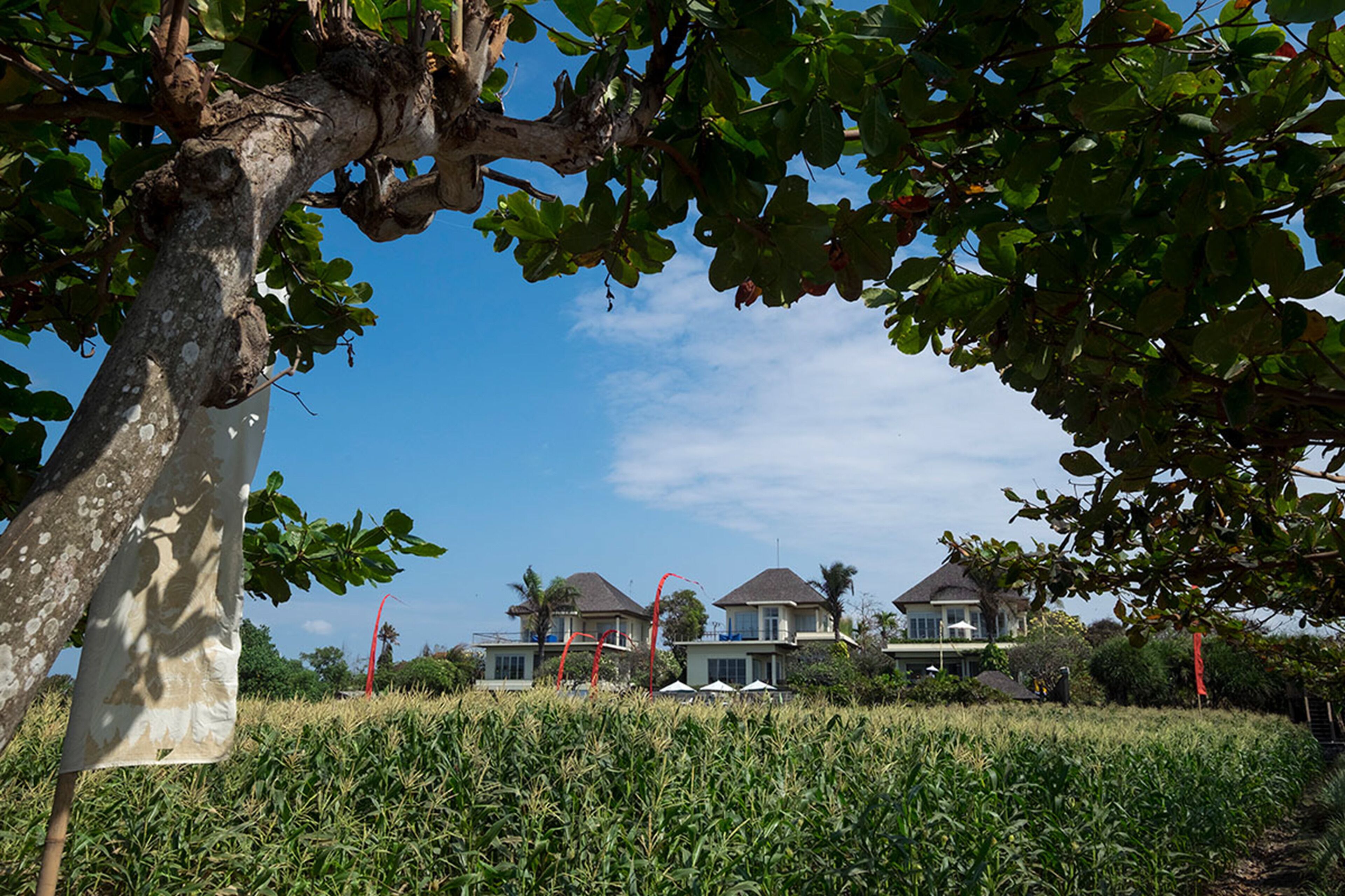 Foto - Sanur Residence