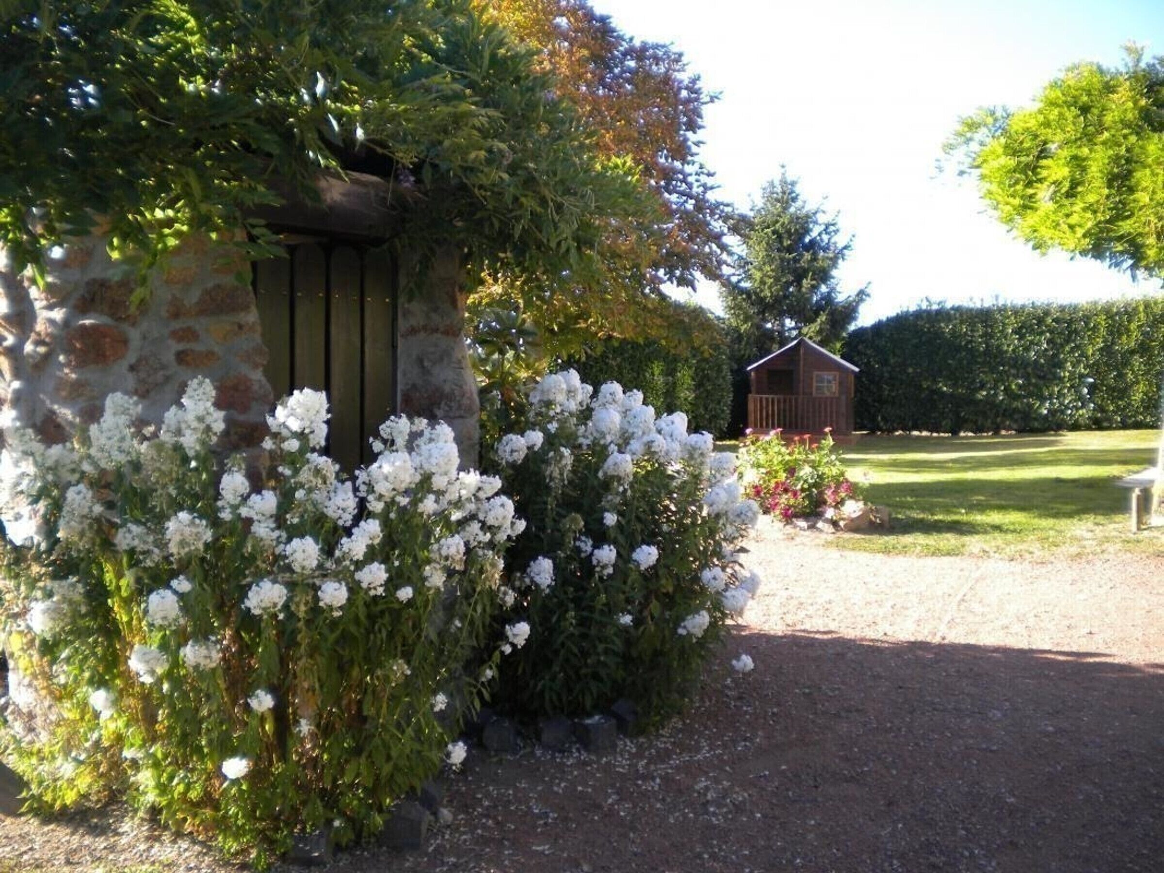 A stone wall with white flowers, a wooden structure, and a hedge in a garden setting.
