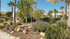 Un jardín ajardinado con cactus, palmeras y arbustos de lavanda.