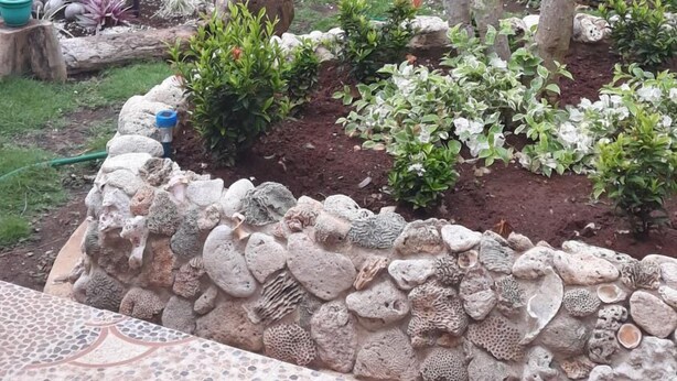A garden with banana trees, a stone wall, and potted plants. - Posada Nativa Nilvis Place (San Andrés)