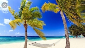 A beach scene with palm trees and a hammock on the sand. - Posada Nativa Nilvis Place (San Andrés)