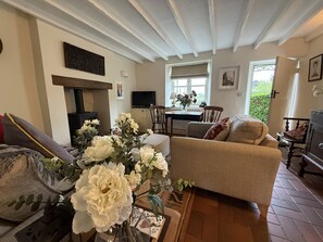 TV, fireplace, books, stereo