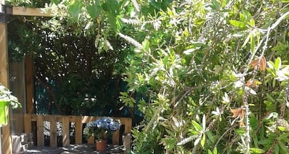 Appartement T1 A Louer à la semaine (60m2) Méze à 15" de Balaruc et Sete