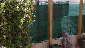 A wooden pergola with climbing plants and a Buddha statue.