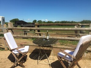 Property grounds - Secluded, self-contained  converted stable, Elstar. (Bristol)