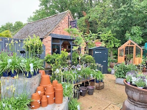 A garden center with various plants and gardening supplies.