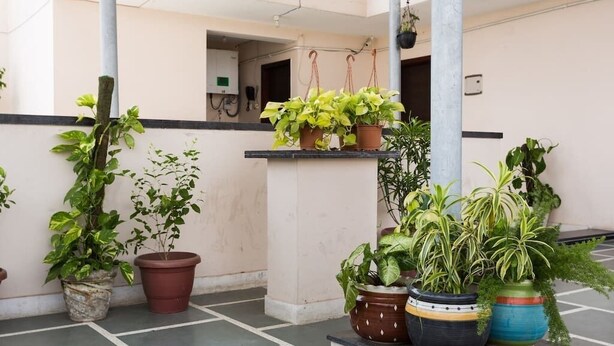 A courtyard with potted plants, a tiled floor, and a building entrance. - ACHLA PARADISE – LUXURY 2BHK APARTMENT (4 BEDS) (New Delhi)