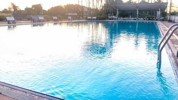 Une piscine dotée de chaises longues et d’un espace abrité, entourée de palmiers et surplombée par un ciel dégagé.