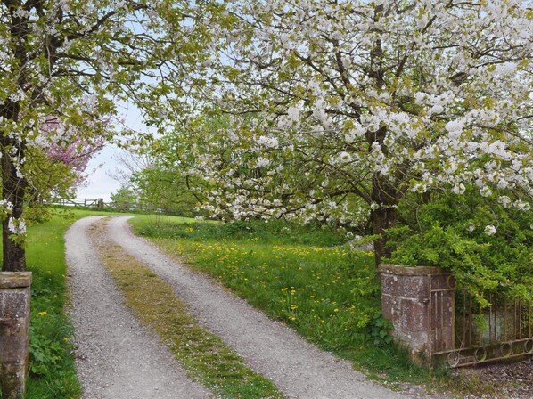 Property grounds - 1 bedroom accommodation in Wigton, near Carlisle (Wigton, near Carlisle)