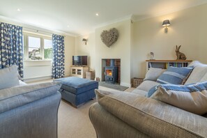 TV, fireplace - Stone Croft, Barney, Norfolk (Barney)
