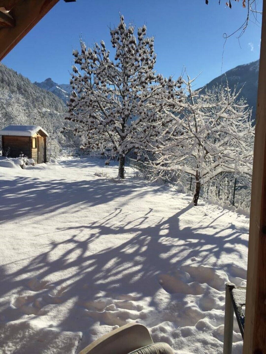 Schneebedeckte Landschaft mit einer Holzhütte und einem großen Baum im Vordergrund.