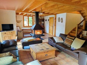 Televisión, chimenea, reproductor de DVD, libros