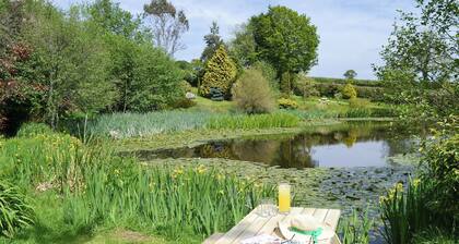 The Oak Stall - UK11023