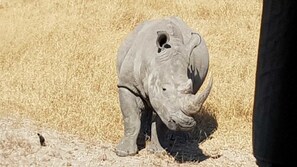 Ecotours - BTV Guesthouse (Mbombela)