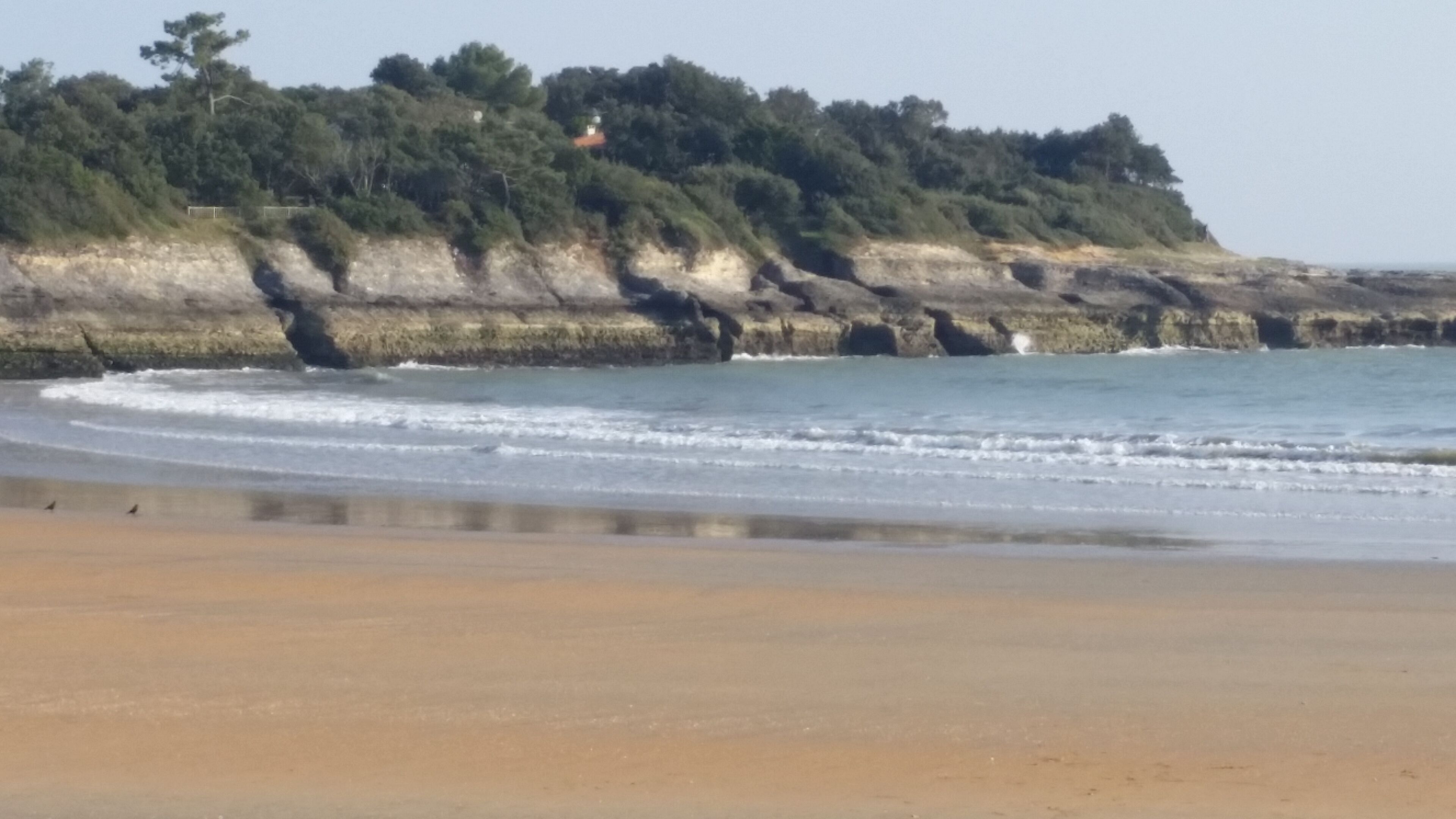 Une plage bordée d’une côte rocheuse, avec une colline boisée en arrière-plan.