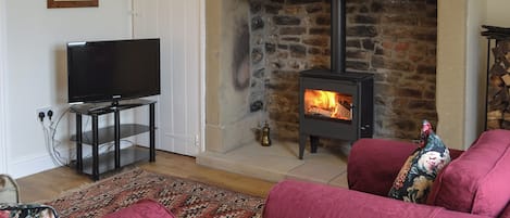 A living room with a television, a fireplace, and a sofa.