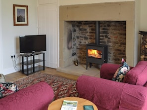 TV, fireplace