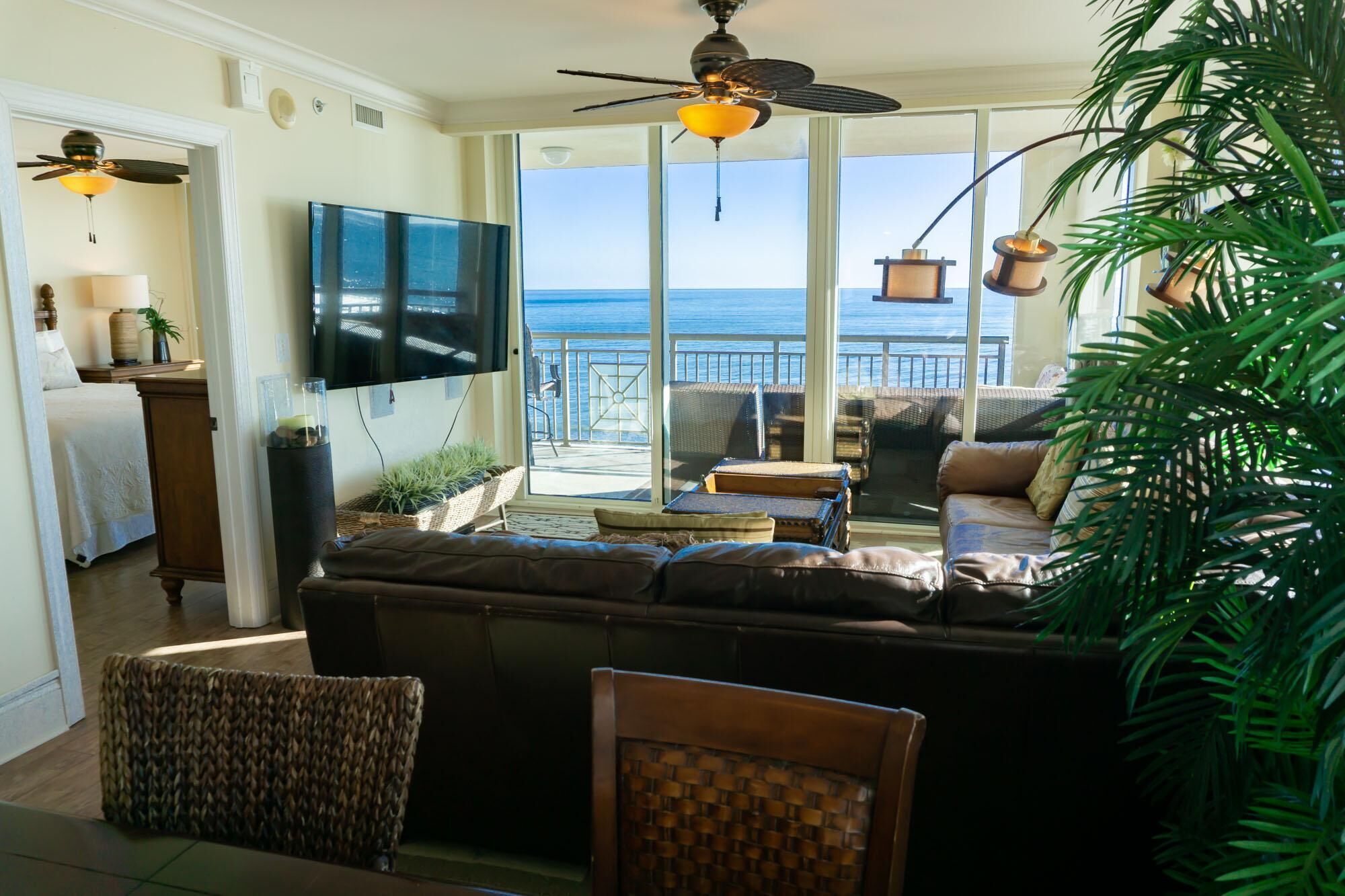 TV, lettore DVD, libri