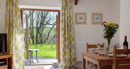 1 makuuhuoneen asunto Cwmsychpantissa, lähellä Lampeteria