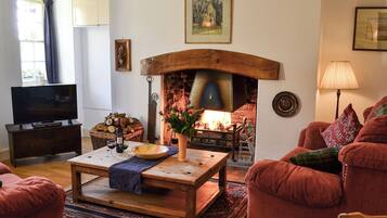 Televisión y chimenea