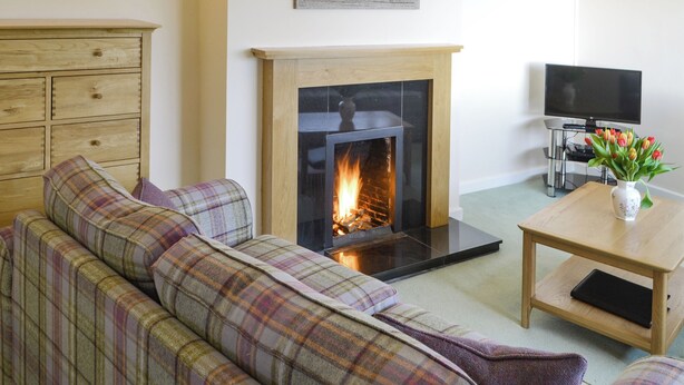A living room with a fireplace, a sofa, a television, and a vase with flowers.