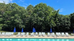 Une piscine entourée d’arbres, avec des chaises longues et des parasols bleus.