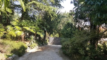 Parco della struttura