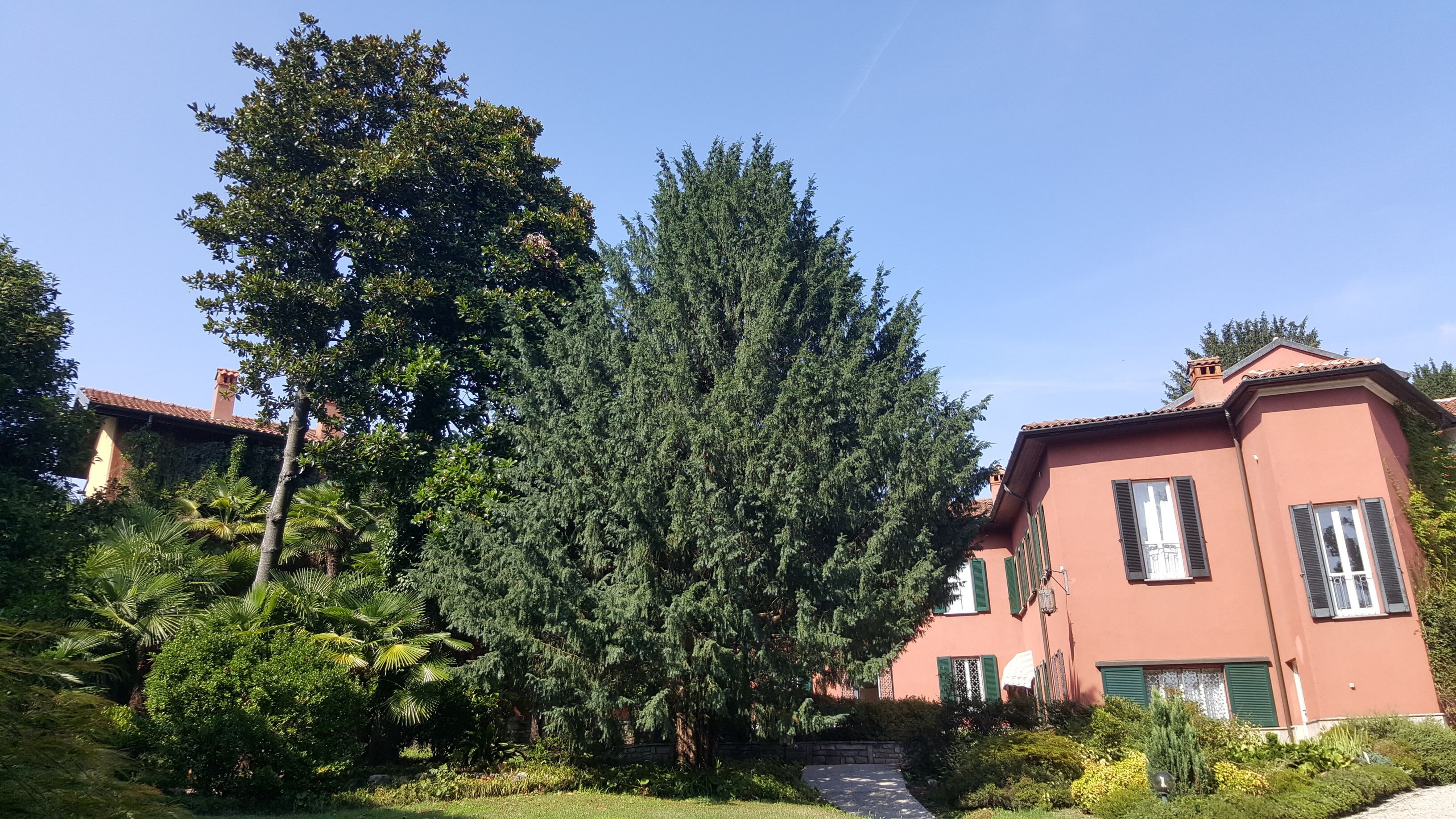 Una casa con facciata rossa, persiane verdi e un giardino curato con diversi alberi e arbusti.