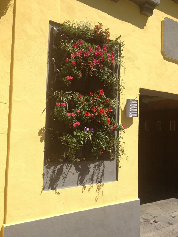 Détail de l’extérieur