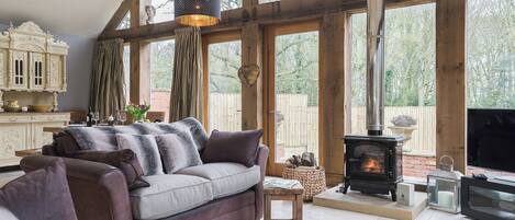 TV, fireplace
