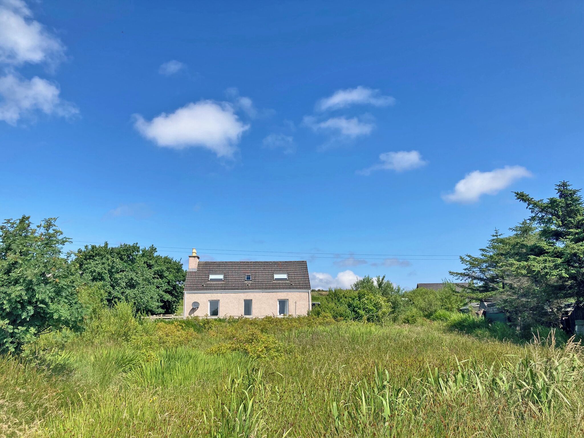 A house with a sloped roof, surrounded by dense greenery and a clear blue sky.