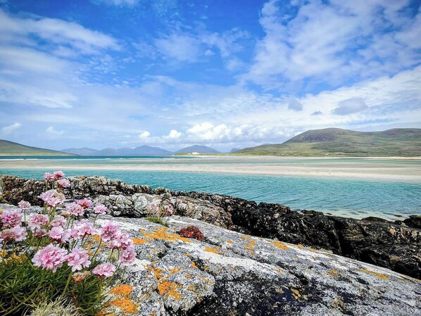 A coastal landscape with a rocky foreground featuring pink flowers and lichen, a calm sea, and distant hills under a partly cloudy sky.