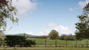 A rural landscape with a wooden fence, green fields, and a distant mountain range.