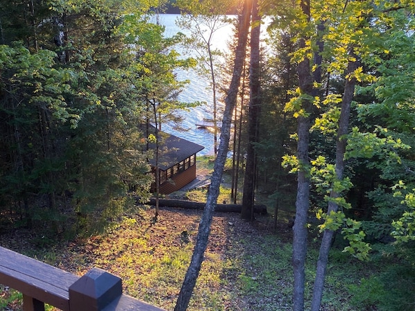 A cabin surrounded by dense forest with a view of a lake.
