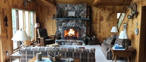 Smart TV, chimenea, reproductor de DVD y libros