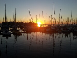 Marina - Kleine Möwe, exclusive one-room apartment with sauna in the house, vacation park. (Steinhude)