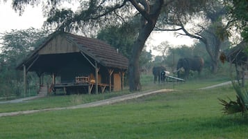 Tente | Literie de qualité, bureau, literie fournie