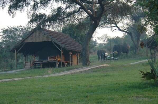 Tent | Premium bedding, desk, bed sheets