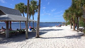 Ein Strand mit einer überdachten Laube, Palmen und sandigem Ufer.