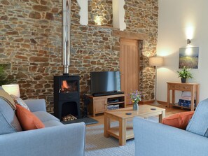 TV, fireplace - The Horse Gin - UK11024 (East Worlington, near South Molton)
