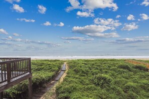 Beach nearby - Fabulous Find - Spendlove Oceanfront (Duck)
