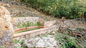 A stone staircase leading to a wooden platform with a metal railing, surrounded by greenery. - Anticheterme / Trilocale (Sorano GR)