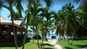 A pathway leading to a building with a thatched roof, surrounded by palm trees and a view of the ocean. - Nice furnished studio with small sea view<br><br><br> (SAINT FRANCOIS)