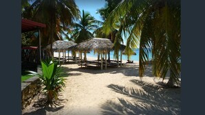 A beach with thatched umbrellas, palm trees, and a clear view of the ocean. - Nice furnished studio with small sea view<br><br><br> (SAINT FRANCOIS)